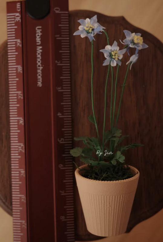 Ręcznie robione miniaturowe ro – Tagine Clay Pot recenzja i cena