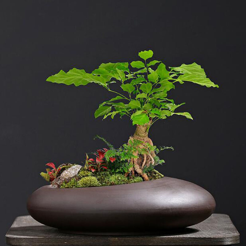 Retro Fioletowa Doniczka z Gli – Tagine Clay Pot recenzja i cena